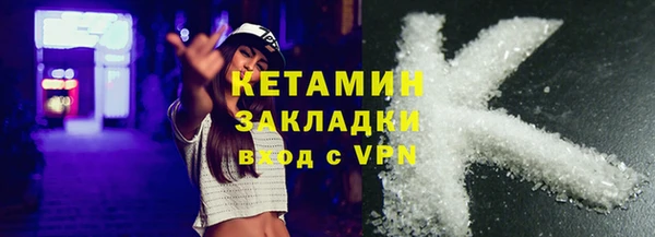 прущие грибы Коряжма