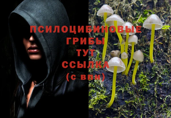 метадон Козловка